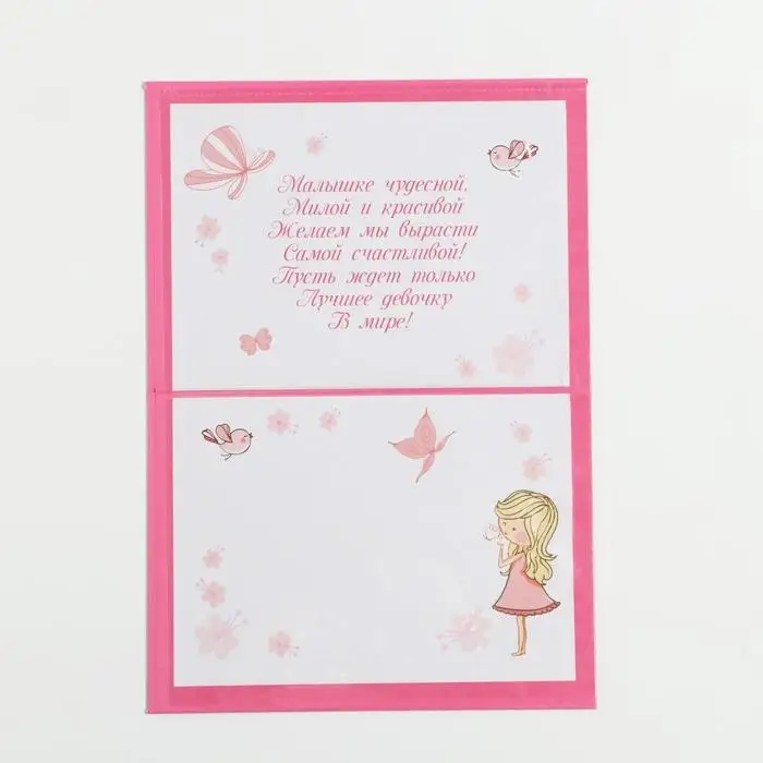 Папка для свидетельства о рождении «Коллаж», для девочки, А5 Папка для свидетельства о рождении «Коллаж», для девочки, А5