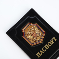 Обложка для паспорта, цвет чёрный