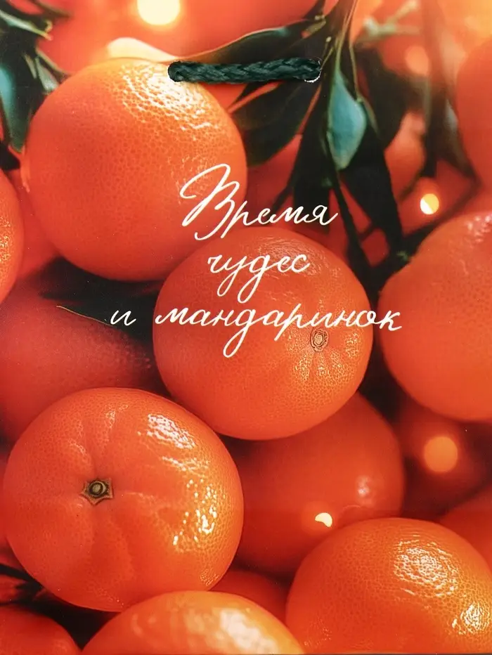 Пакет подарочный новогодний ламинированный, «Новогодние мандарины» , 11.5×6.5×14.5 см