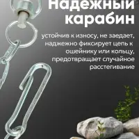 Цепь для привязи собак, 5 м, калибр 3&times;21 мм, белая
