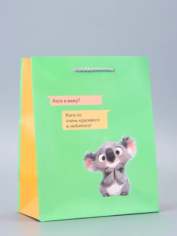Пакет подарочный ламинированный &laquo;Кого я вижу?&raquo; 18&times;22.3&times;10 см