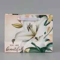Пакет подарочный горизонтальный Beautiful, 23&times;18&times;10 см