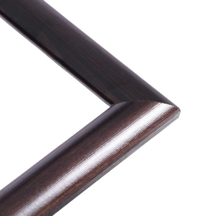 Рама для картин (зеркал) 30 х 40 х 2,6 см, дерево, Berta, темно-коричневая Рама для картин (зеркал) 30 х 40 х 2,6 см, дерево, Berta, темно-коричневая