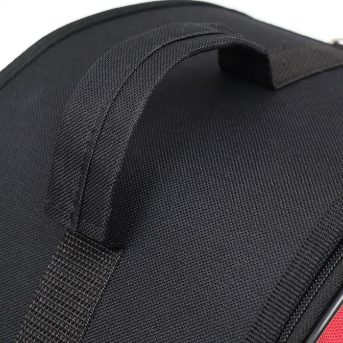 Сумка - переноска для животных, полукруглая с карманоми ПВХ, 37 х 18 х 25 см, красная Сумка - переноска для животных, полукруглая с карманоми ПВХ, 37 х 18 х 25 см, красная