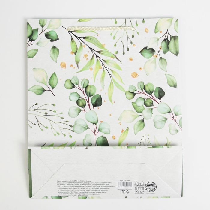 Пакет подарочный ламинированный, упаковка, Present for you, ML 21 х 25 х 8 см Пакет подарочный ламинированный, упаковка, Present for you, ML 21 х 25 х 8 см