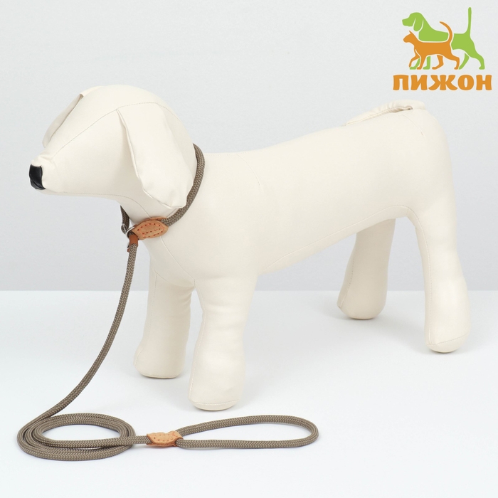 Поводок-удавка 150 см х 6 мм, полиэстер и натуральная кожа, бежевый Поводок-удавка 150 см х 6 мм, полиэстер и натуральная кожа, бежевый