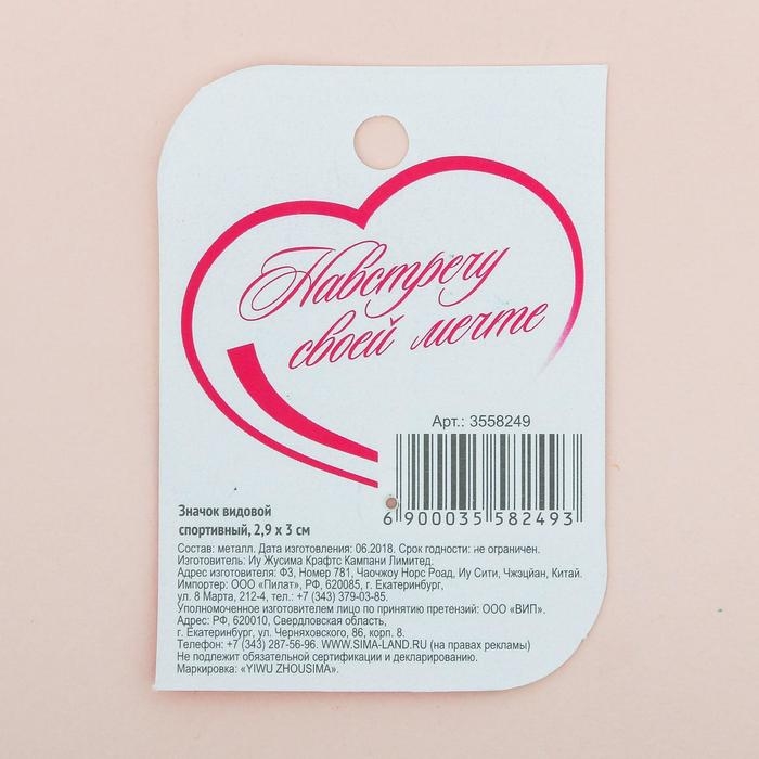 Значок спортивный для гимнастки «Гимнастика», 2,9 х 3 см Значок спортивный для гимнастки «Гимнастика», 2,9 х 3 см