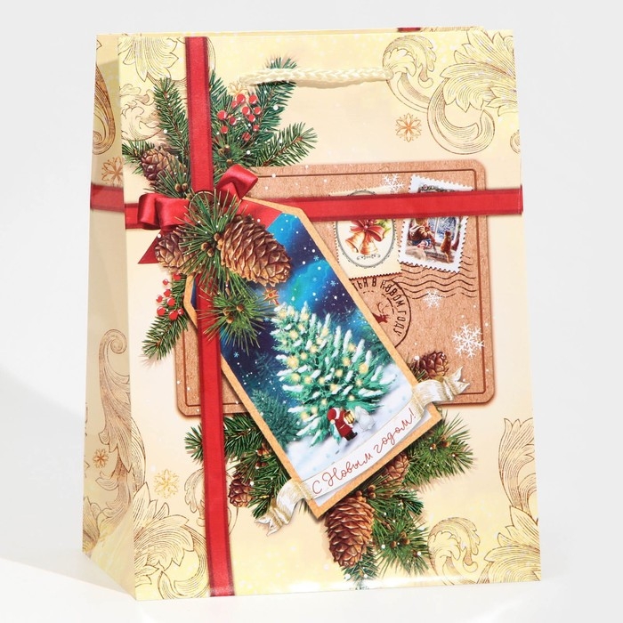 Пакет подарочный новогодний ламинированный «С Новым годом!», MS 18 х 23 х 8 см Пакет подарочный новогодний ламинированный «С Новым годом!», MS 18 х 23 х 8 см