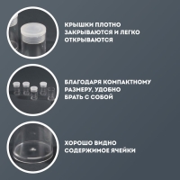 Набор баночек для декора, 5 шт, 6 мл, d = 2,2 × 3,7 см, цвет прозрачный
