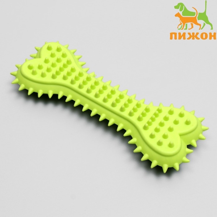 Игрушка жевательная литая Игрушка жевательная литая "Кость с шипами", 15 х 6 х 2,5 см, салатовая