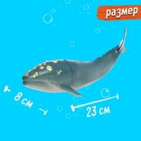 Фигурка животного «Морской житель», цвет МИКС