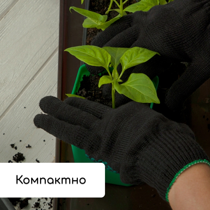 Набор для рассады: стаканы по 600 мл (8 шт.), поддон 36 × 18 см, цвет МИКС, Greengo Набор для рассады: стаканы по 600 мл (8 шт.), поддон 36 × 18 см, цвет МИКС, Greengo