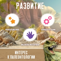 Набор для раскопок «Эра динозавров»
