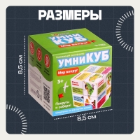 Развивающий трансформер «Умникуб: География», 3+