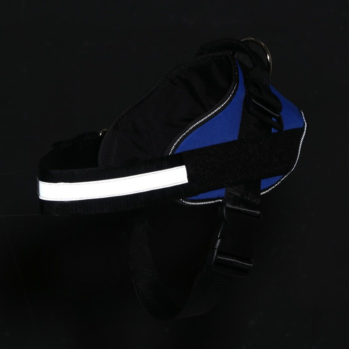 Шлейка К9 мягкая светоотражающая, размер M, ОГ 55-65 см, вес 11-20 кг, синяя Шлейка К9 мягкая светоотражающая, размер M, ОГ 55-65 см, вес 11-20 кг, синяя