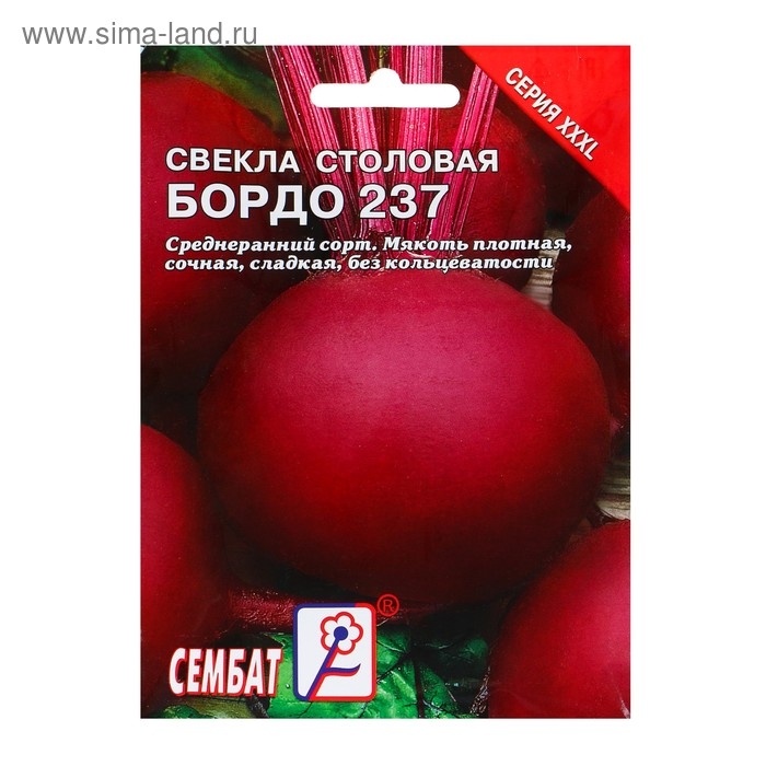 Семена ХХХL Свекла  Семена ХХХL Свекла "Бордо 237", 7 г
