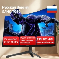 Монитор SANC T960 (T960), 31.5", VA, 1920×1080, 165Гц, 6 мс, HDMI, DP, чёрный