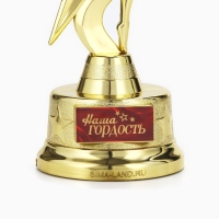 Наградная фигура «Наша гордость», золото, пластик, 21,5 х 7,5 см
