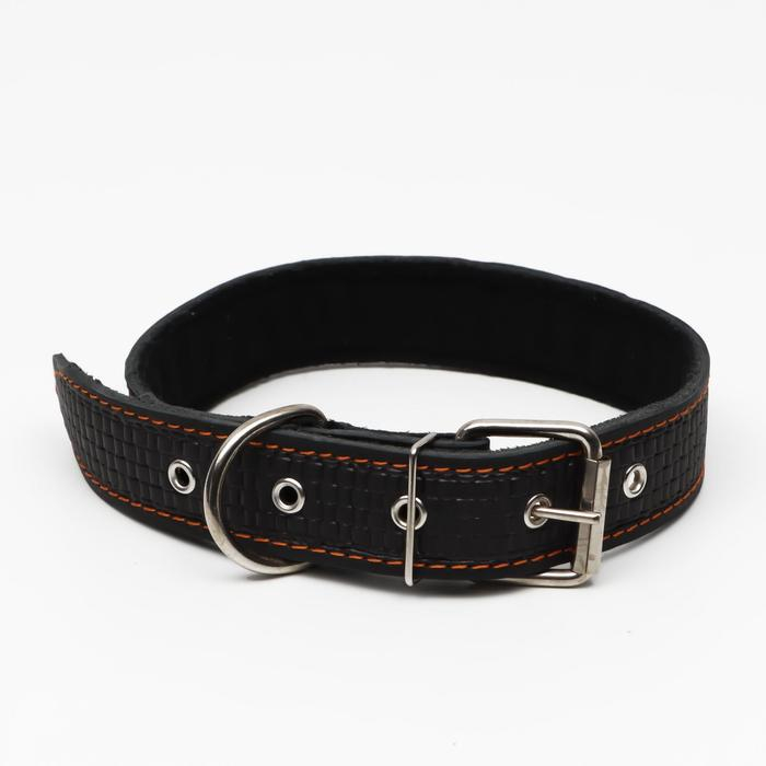 Ошейник кожаный с тиснением на синтепоне, 70,5 х 3.5 см, ОШ 45-60 см, чёрный Ошейник кожаный с тиснением на синтепоне, 70,5 х 3.5 см, ОШ 45-60 см, чёрный