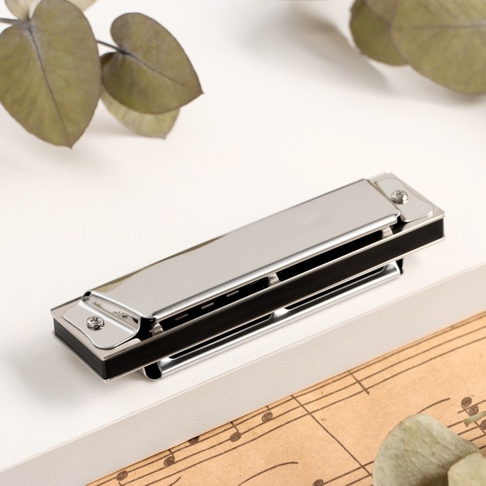 Губная гармошка Music Life T10 C диатоническая, 10 отверстий, с футляром Губная гармошка Music Life T10 C диатоническая, 10 отверстий, с футляром