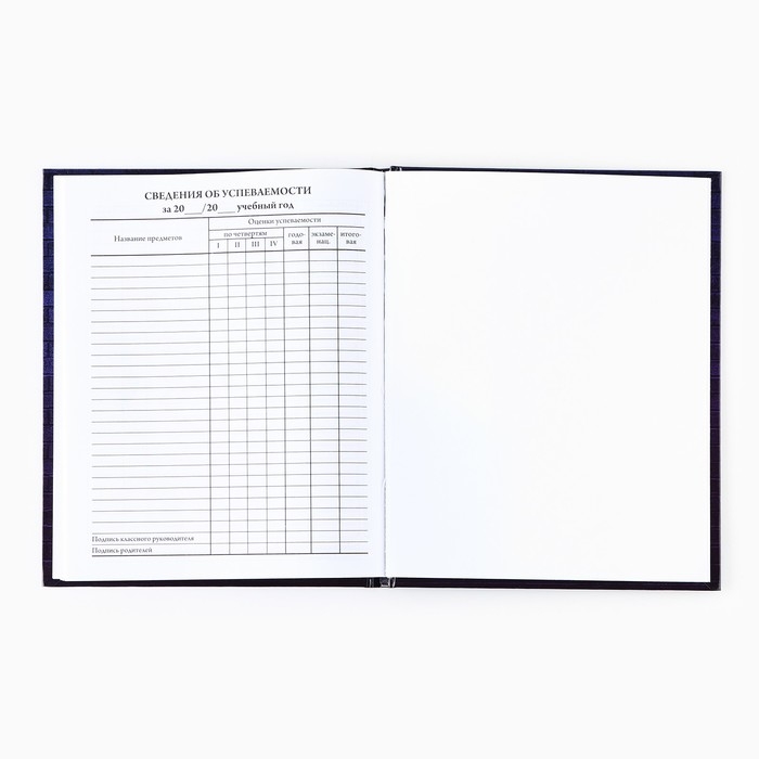 Дневник школьный для 1-11 класса, в твердой обложке, 40 л. «Неон» Дневник школьный для 1-11 класса, в твердой обложке, 40 л. «Неон»