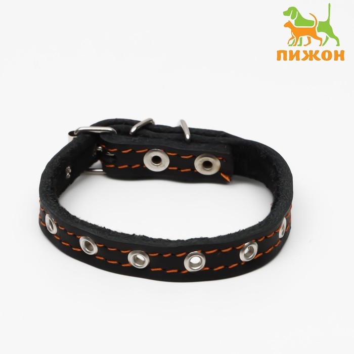 Ошейник кожаный на синтепоне, безразмерный, 37 х 1.5 см, ОШ 21-31 см, чёрный Ошейник кожаный на синтепоне, безразмерный, 37 х 1.5 см, ОШ 21-31 см, чёрный