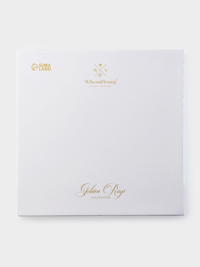 Тарелка WY Golden rays, d=20 см, фарфор, белая