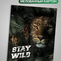 Тетрадь 96 листов в клетку, Calligrata &laquo;Хищники&raquo;, МИКС