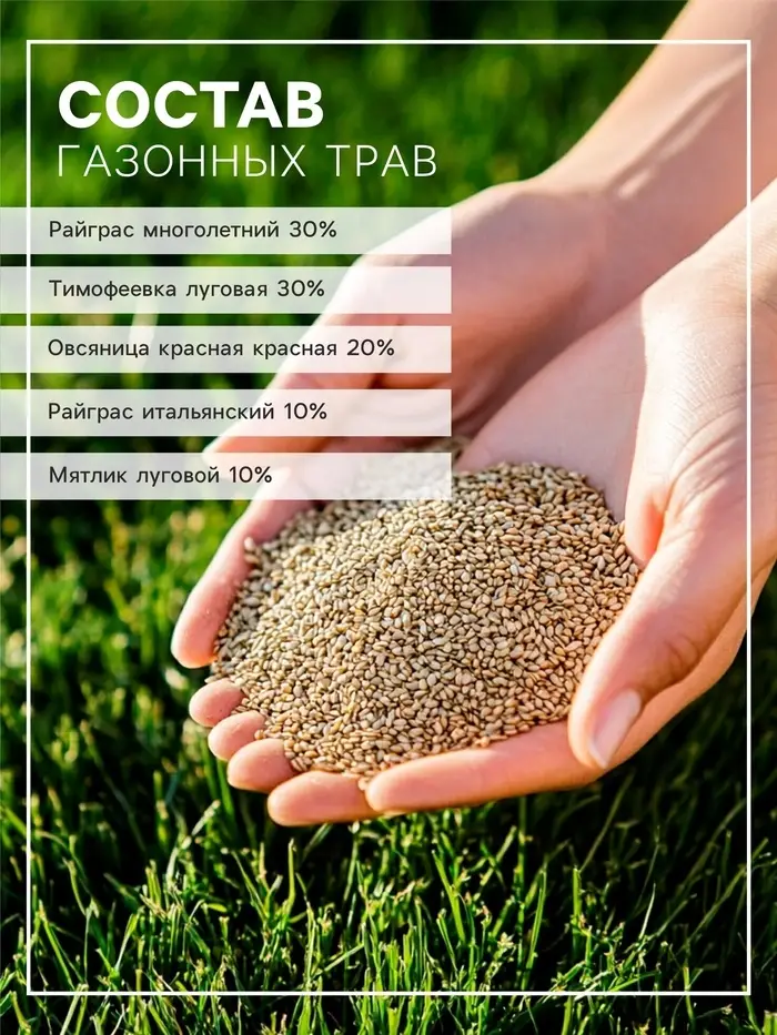 Газон Спортивный &laquo;Зеленый квадрат&raquo;, 30 г