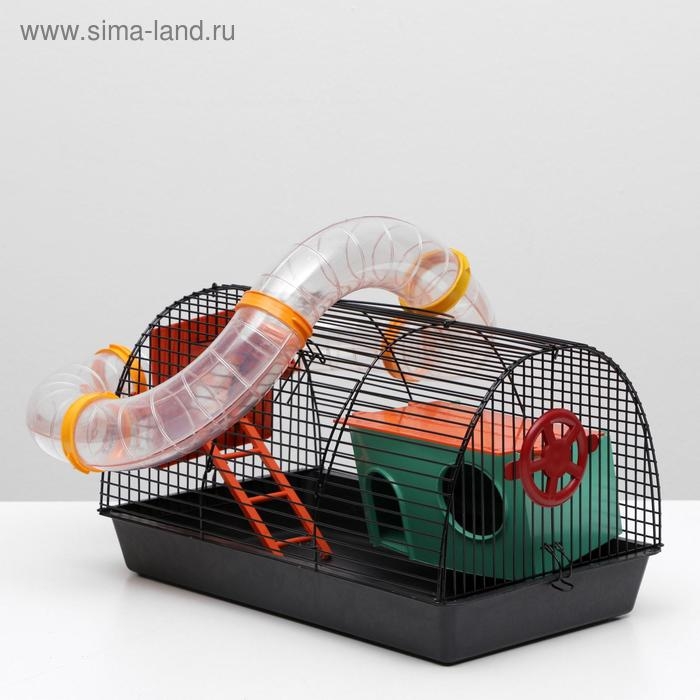 Клетка для грызунов Клетка для грызунов "Саквояж", малая, с лабиринтом, 40 х 25 х 21 см, микс цветов