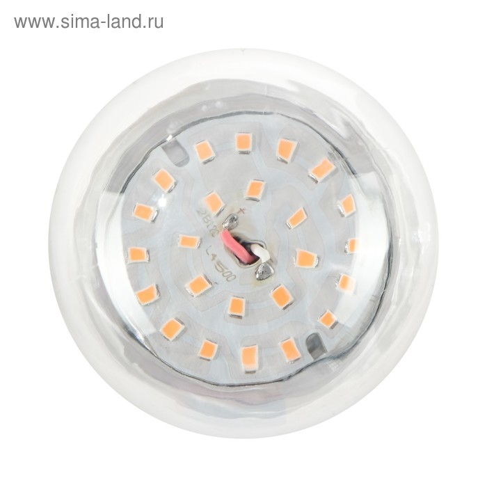 Фитолампа светодиодная Luazon, А60, E27, 12 Вт, IP44, 220 В, 270°, мультиспектральная Фитолампа светодиодная Luazon, А60, E27, 12 Вт, IP44, 220 В, 270°, мультиспектральная