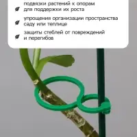 Клипсы садовые для подвязки растений, 4&times;3 см, в наборе 30 шт., Greengo