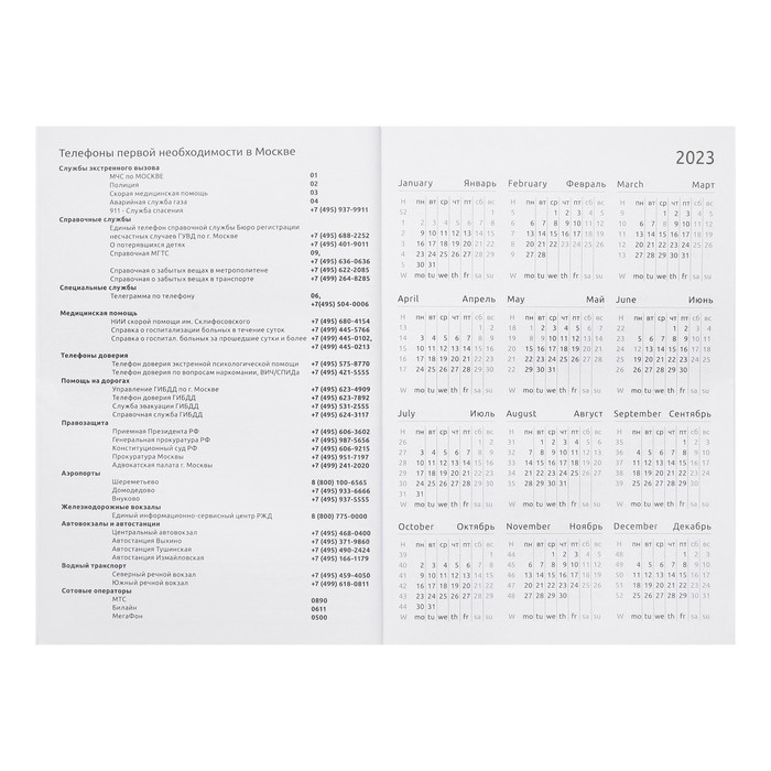 Ежедневник датированный 2024 года, А5, 176 листов, Attomex.Arkona, обложка бумвинил, ляссе, блок 70 г/м2, чёрный Ежедневник датированный 2024 года, А5, 176 листов, Attomex.Arkona, обложка бумвинил, ляссе, блок 70 г/м2, чёрный