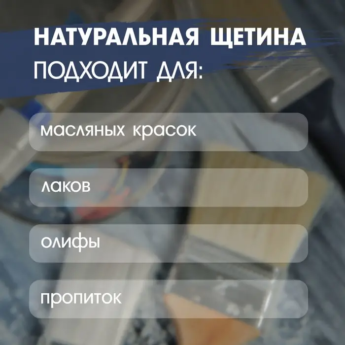 Кисть плоская ТУНДРА, натуральная щетина, деревянная рукоятка, 1", 25 мм