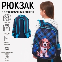 Рюкзак каркасный школьный, 39 х 30 х 14 см, Calligrata "Собачка"