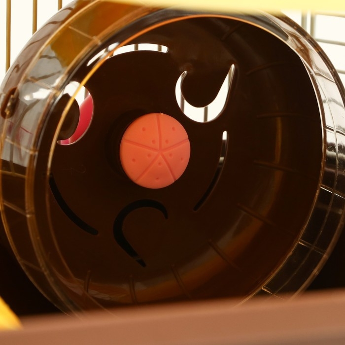 Клетка для грызунов Клетка для грызунов "Пижон" с замком, 31 х 24 х 27 см, коричневая