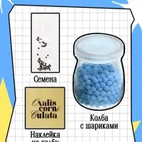 Набор для опытов &laquo;Выращиваем травку&raquo;, своими руками, голубой
