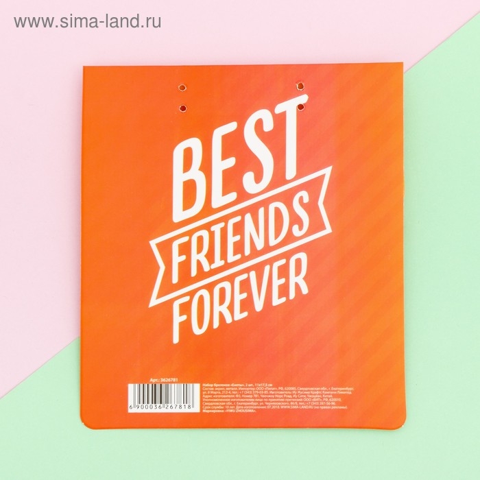 Брелоки парные «Еноты» набор, 2 шт., 11 х 17,5 см.