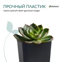 Горшок для рассады, 600 мл, 8&times;8&times;15 см, пластик, МИКС, Greengo