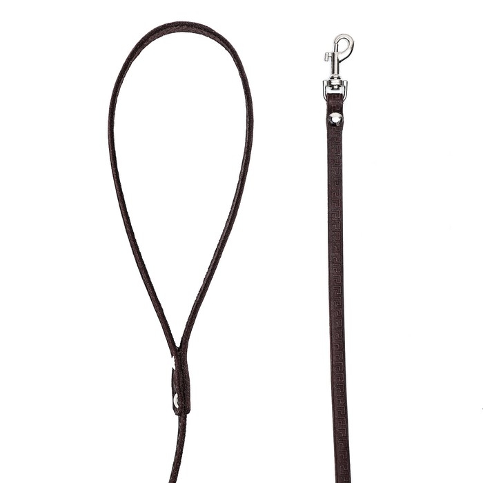 Поводок кожаный тисненый однослойный, 1.4 м х 0,8 см, коричневый Поводок кожаный тисненый однослойный, 1.4 м х 0,8 см, коричневый