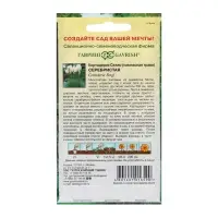 Семена Кортадерия Серебристая "Пампасная трава", ц/п, 0,01 гр. Семена Кортадерия Серебристая "Пампасная трава", ц/п, 0,01 гр.