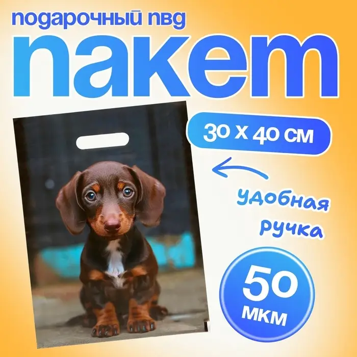 Пакет подарочный «Милая такса», полиэтиленовый с вырубной ручкой, 30×40 см 50 мкм