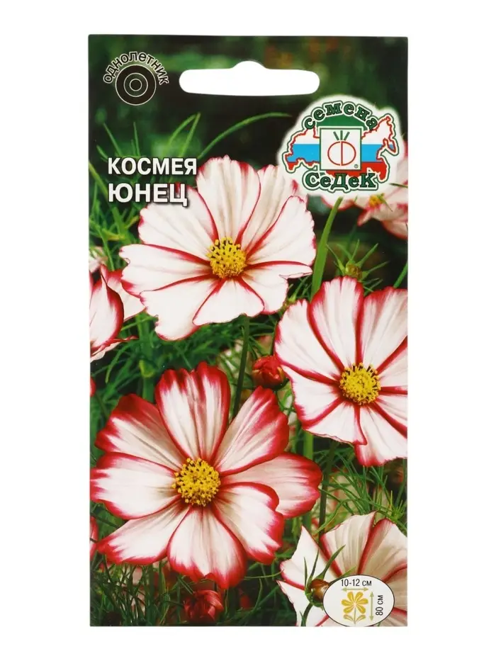 Семена цветок космея &laquo;Юнец&raquo;, 0.3 г