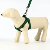 Шлейка с поводком, рельефная, 120&times;2 см, ОГ 44-50 см, зелёная, чёрная