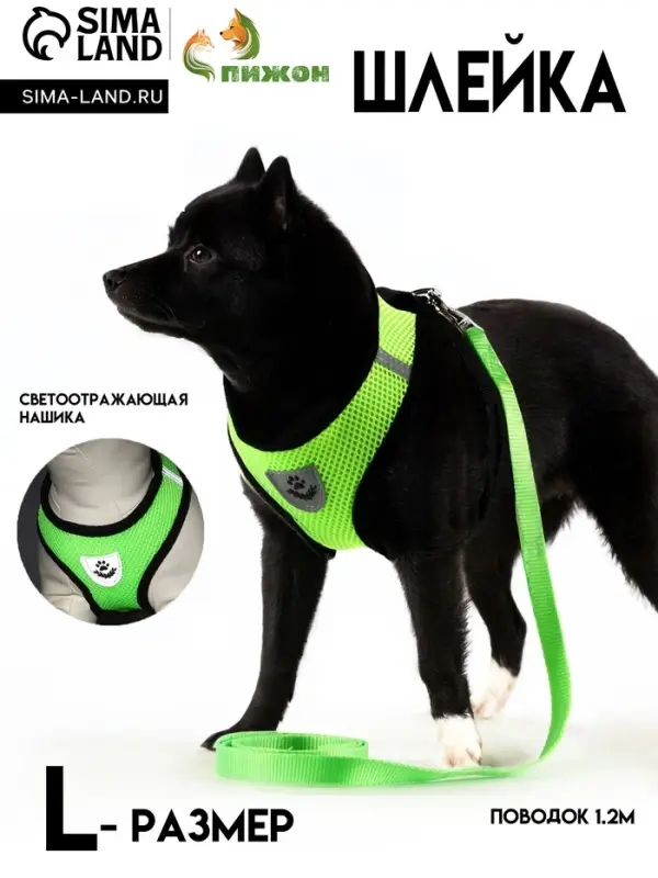 Шлейка с поводком, размер L, ОШ 33, ОГ 36-48, мягкая, со светоотражающей нашивкой, зелёная