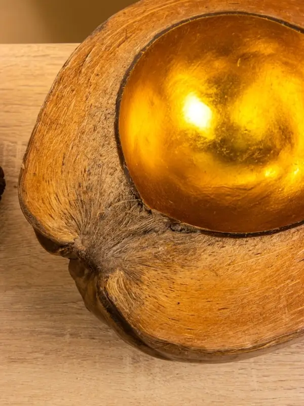 Чаша из кокоса, 22х24,5х9 см, коричнево-золотой