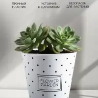 Кашпо для цветов Flower garden, 800 мл, d=11 см, h=12 см, пластиковое