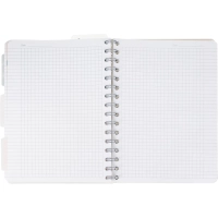 Бизнес-тетрадь 120л,клетка,А5 Flora 2,пласт.обл,серебр.спир,3раздел,линейка