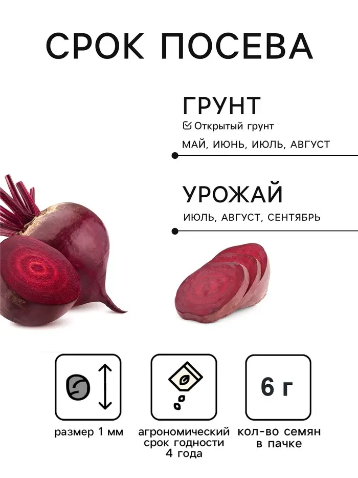 Семена Свекла &laquo;Бордо 237&raquo;, среднеранний, 6 г, &laquo;Тимирязевский питомник&raquo;