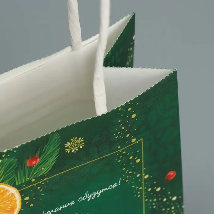 Пакет подарочный новогодний крафтовый «Тепло Нового года», 15 х 10 х 6 см Пакет подарочный новогодний крафтовый «Тепло Нового года», 15 х 10 х 6 см